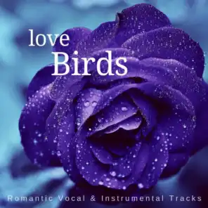 Love Birds (Romantic Vocal  and amp; Instrumental Tracks)
