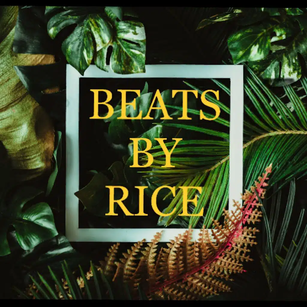 BEATS by RICE