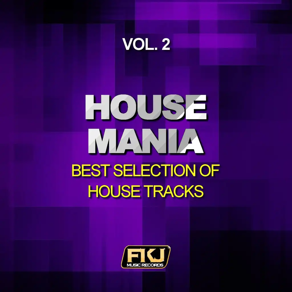 House Mania, Vol. 2 (Best Selection of House Tracks)