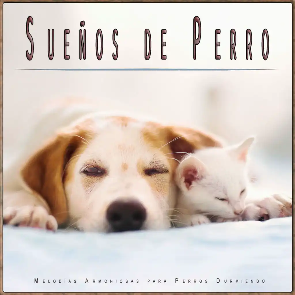 Sueños de Perro: Melodías Armoniosas para Perros Durmiendo