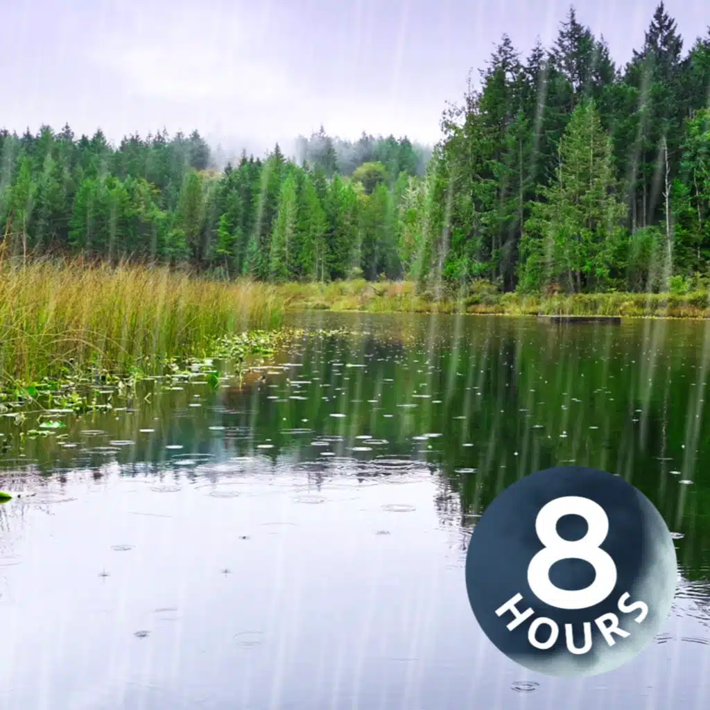 Rainstorm Sleep Ambience | Rain Sound + Pond White Noise 8 Hours