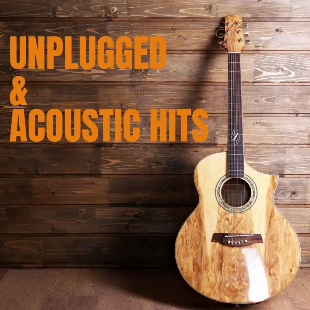 Unplugged & Acoustic Hits