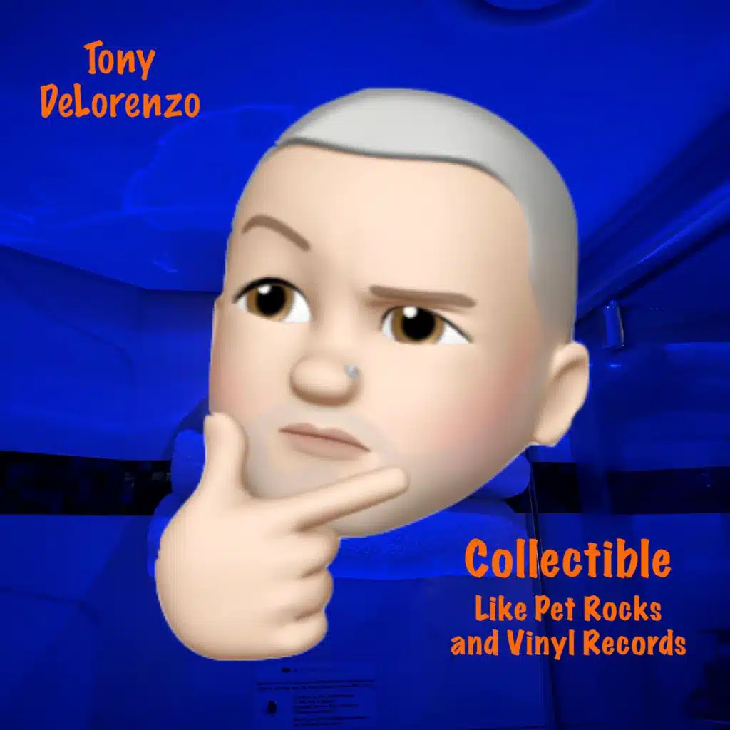Collectible: Like Pet Rocks and Vinyl Records