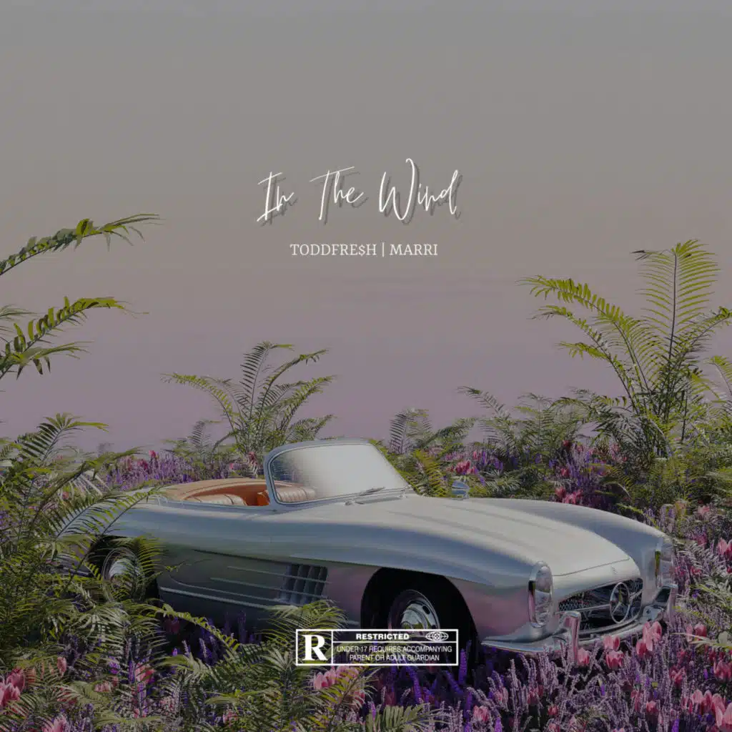 In The Wind (feat. MARRI)