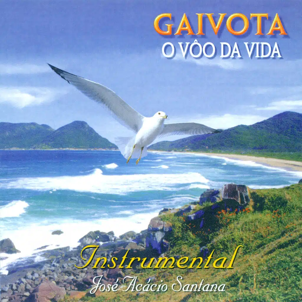 Gaivota, o Vôo da Vida (Instrumental)