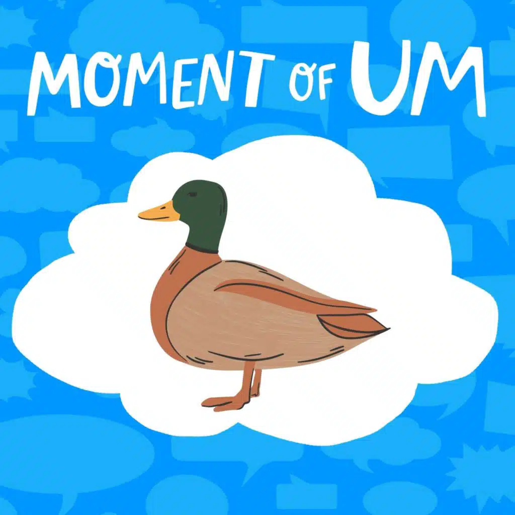 Why don't ducks have teeth?