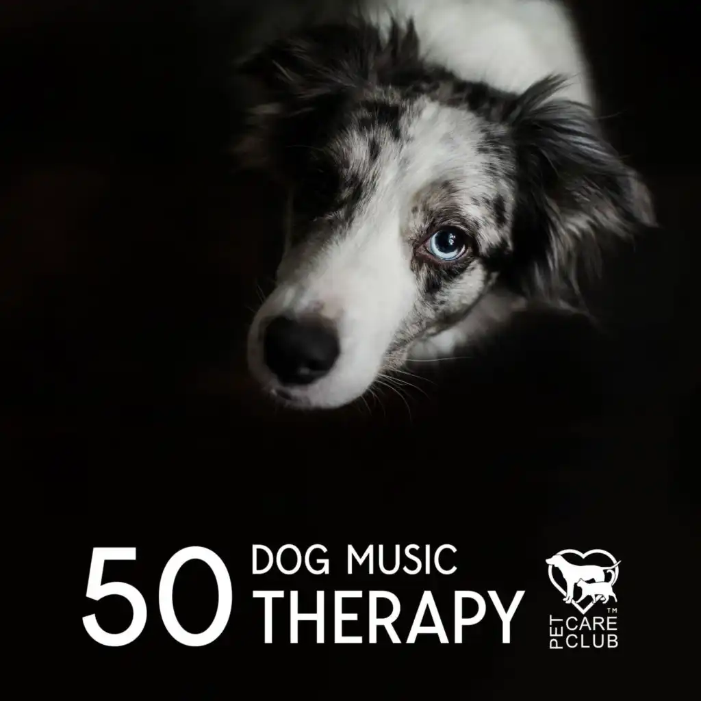 Music to Help My Dog Sleep (feat. Music for Dog’s Ears)