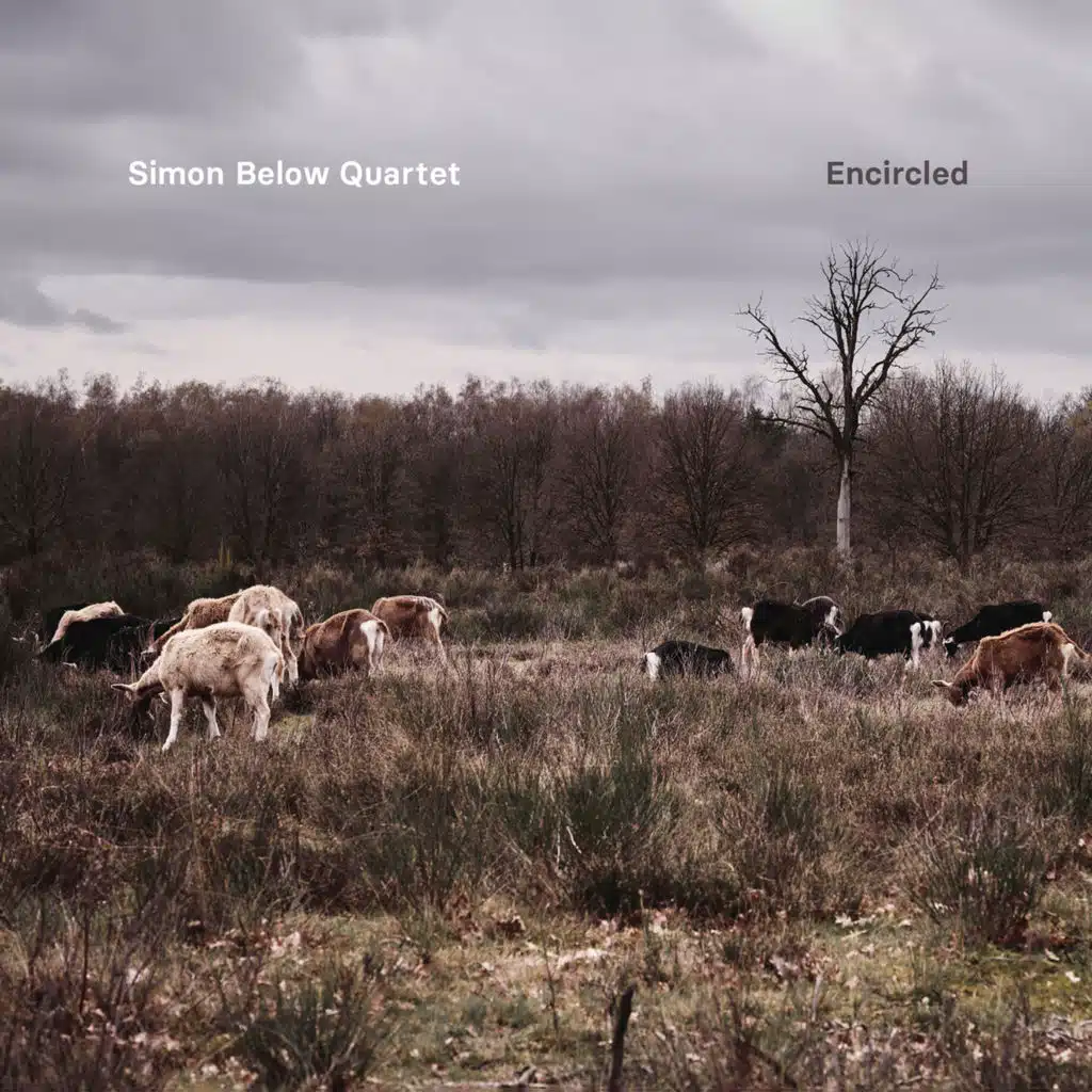 Simon Below Quartet