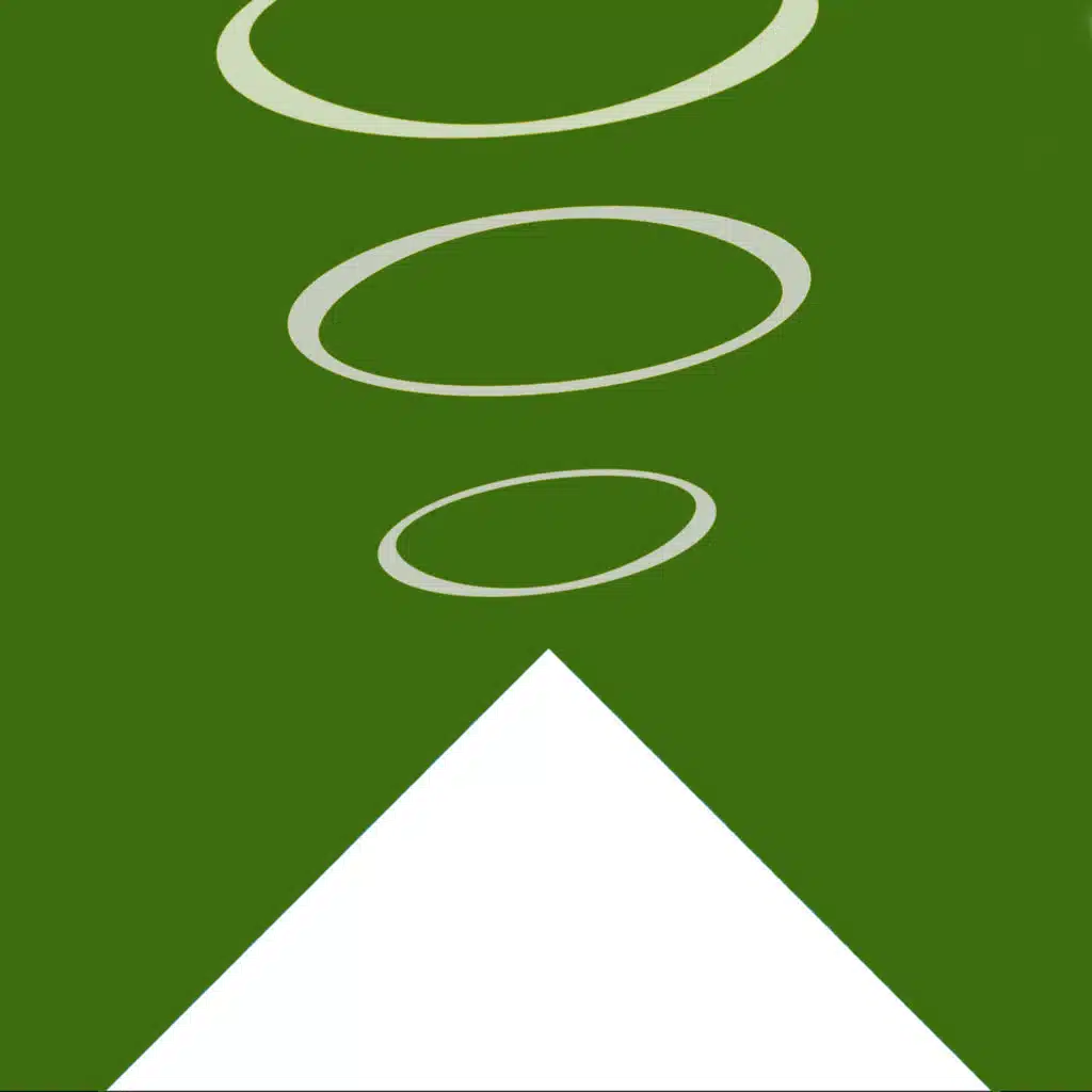 Bruja (DJ Raff Remix) [feat. Malagüera & Los Bulldozer]