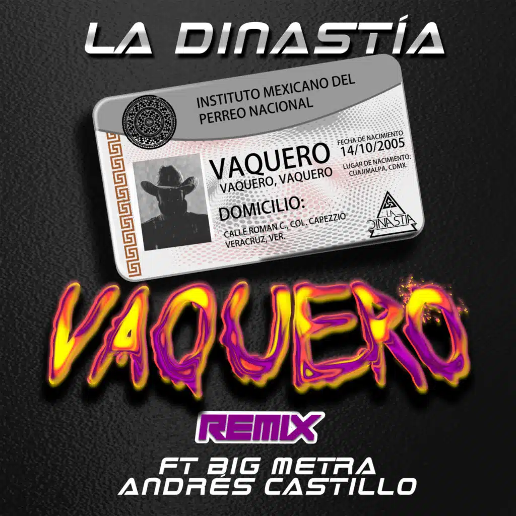 Vaquero (Remix) [feat. Andres Castillo & Big Metra]