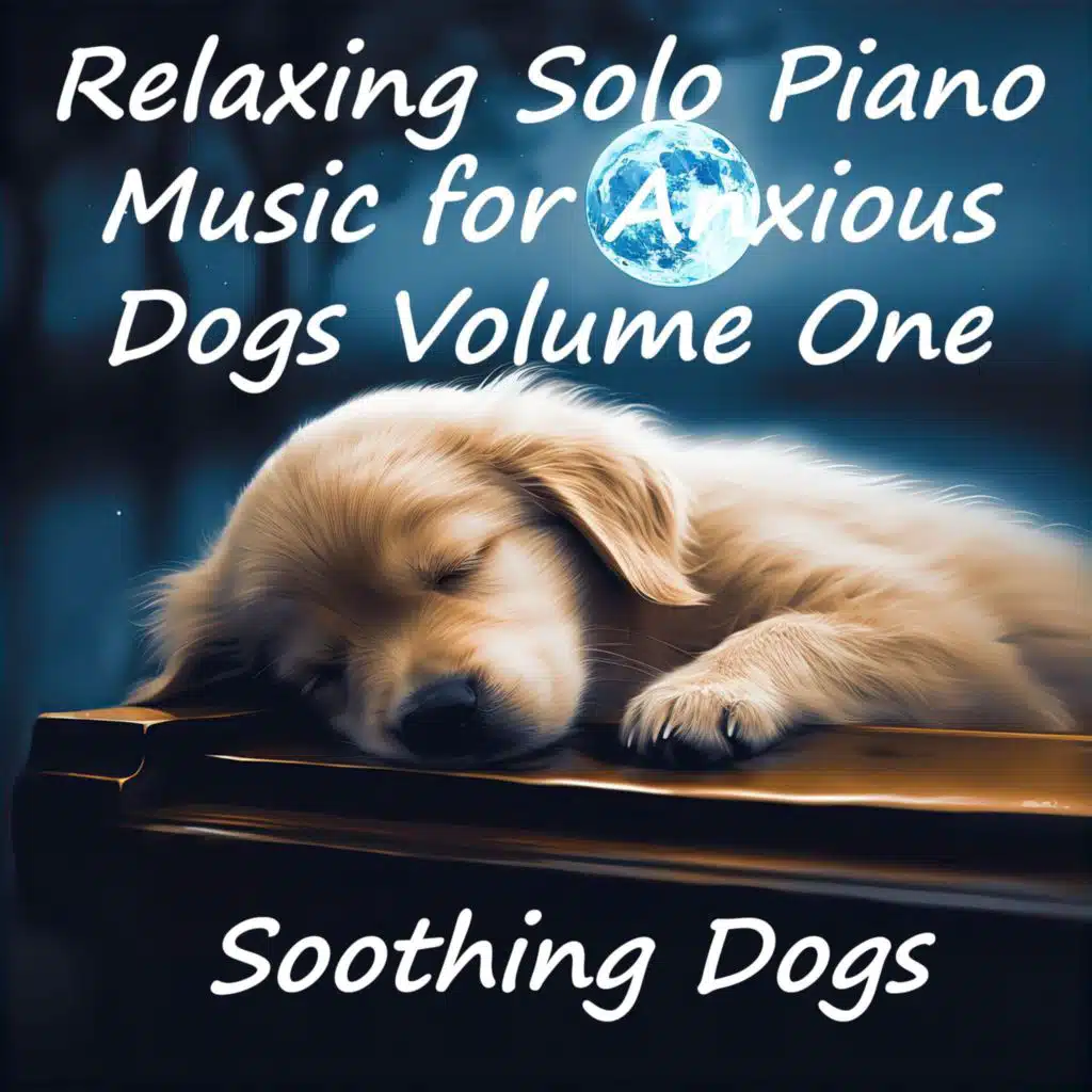 Night's Nocture (Solo Piano)