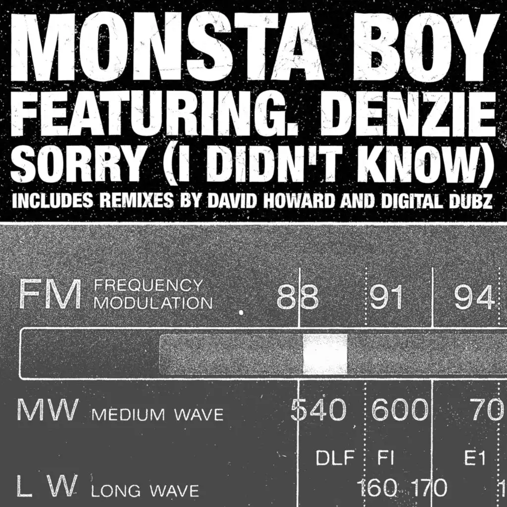 Sorry! (I Didn't Know) (David Howard Remix)