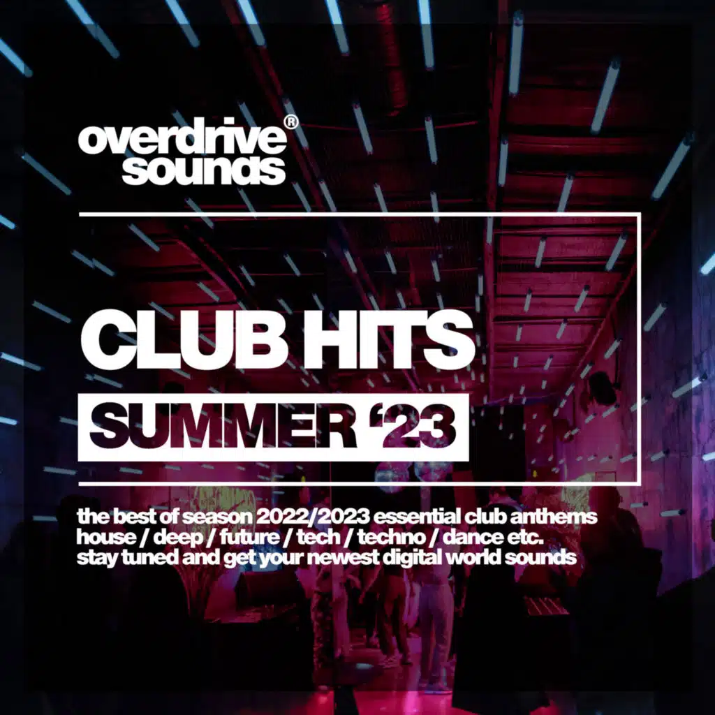 Enjoy The Silence (Melodic Vip Mix)