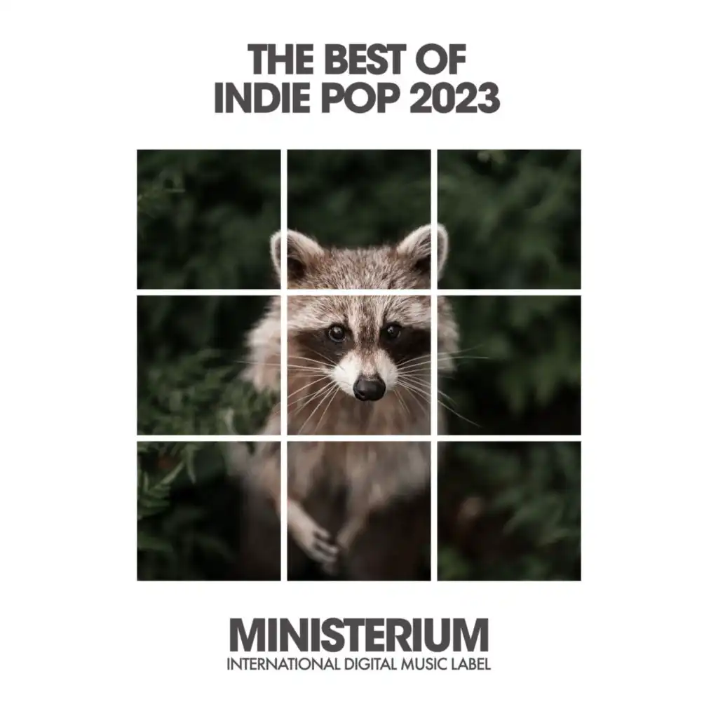 The Best of Indie Pop 2023