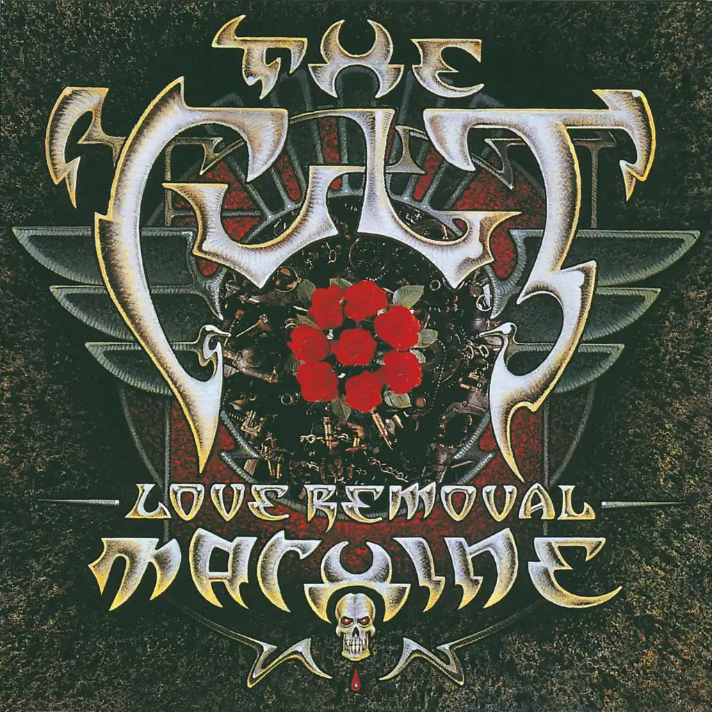 Love Removal Machine (Extended Version)