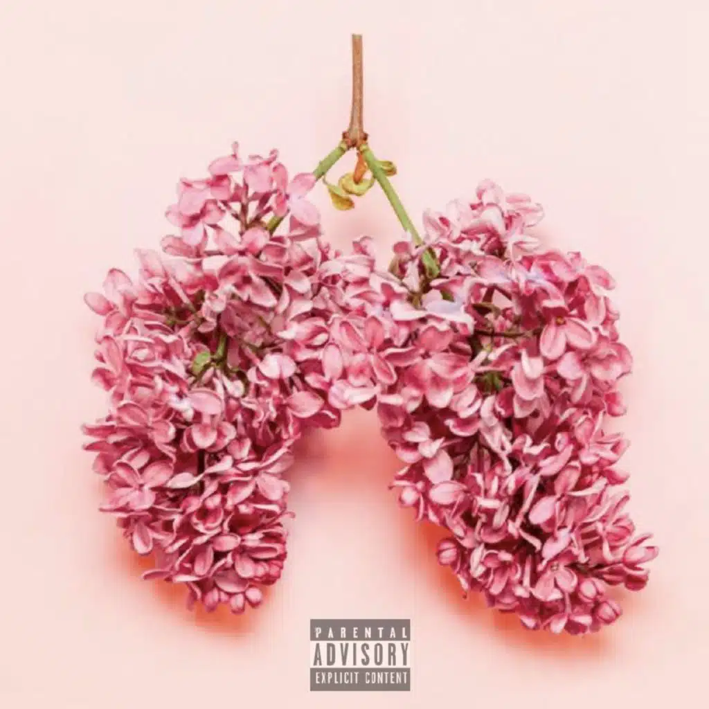 ALLERGY SEASON