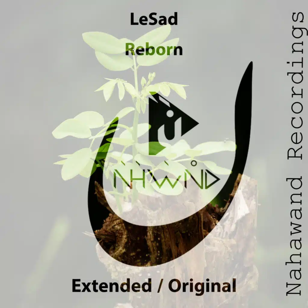 Reborn