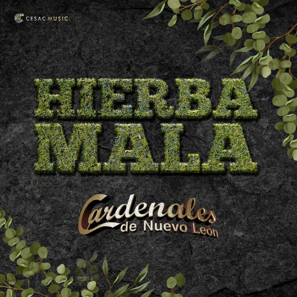 Hierba Mala