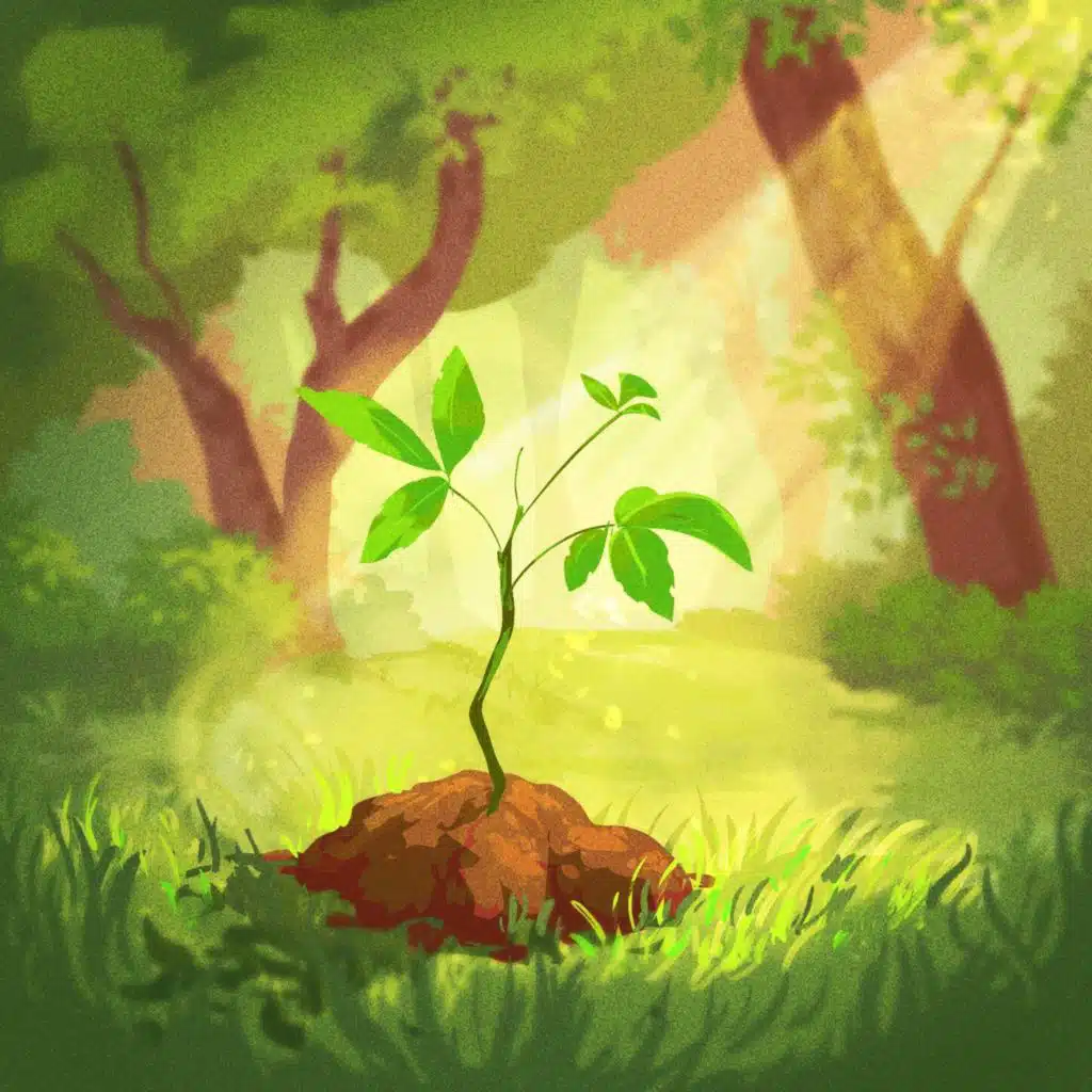 we all start somewhere