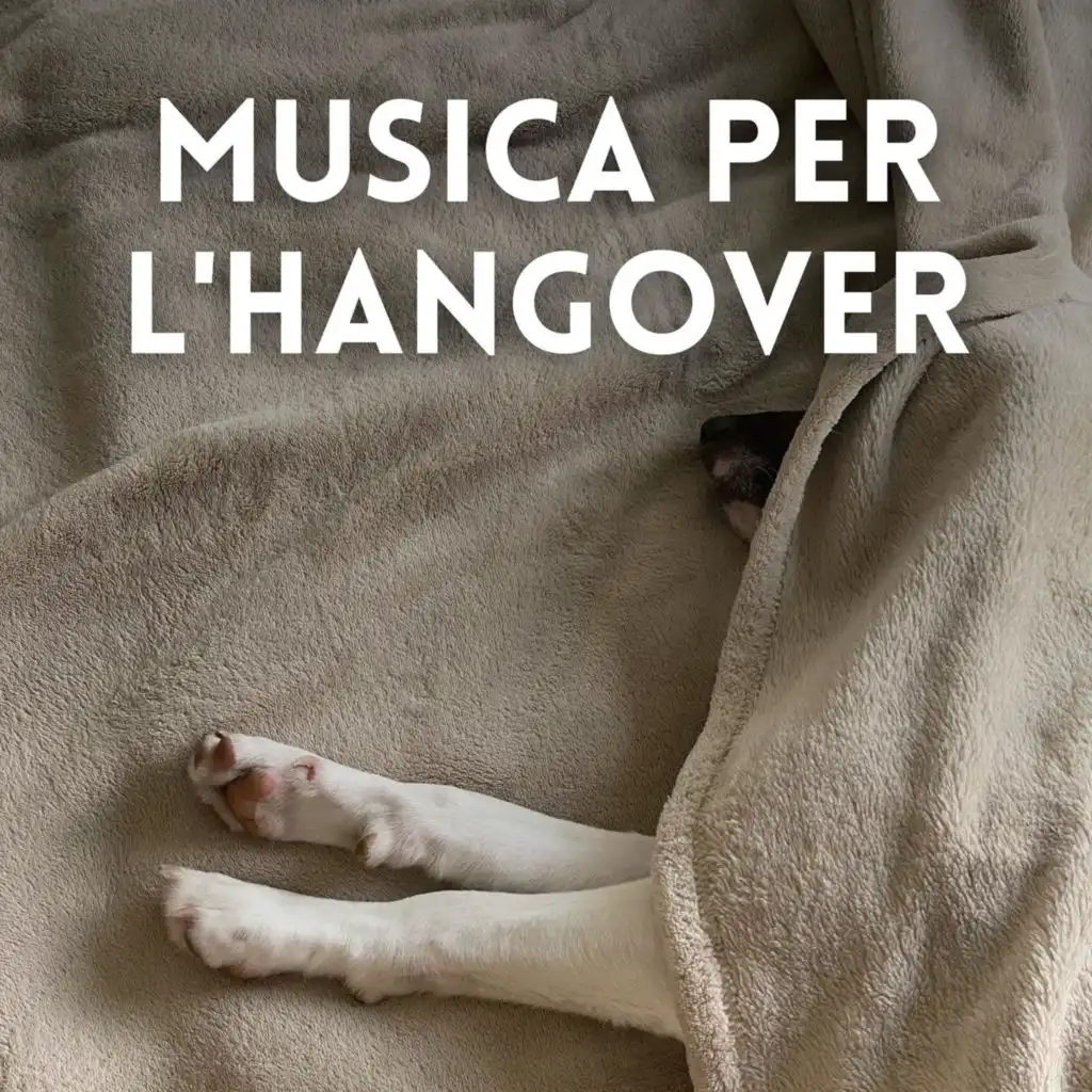 Musica per l'Hangover