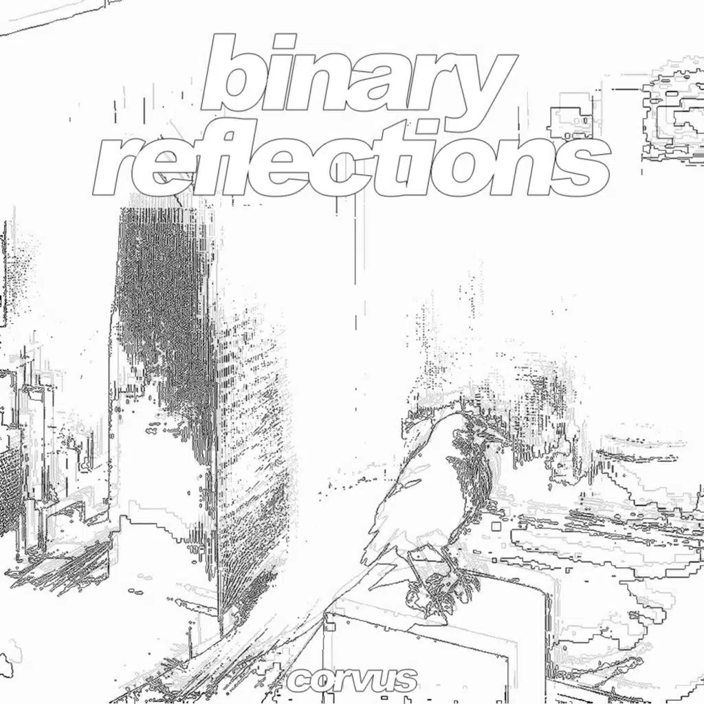 binary reflections