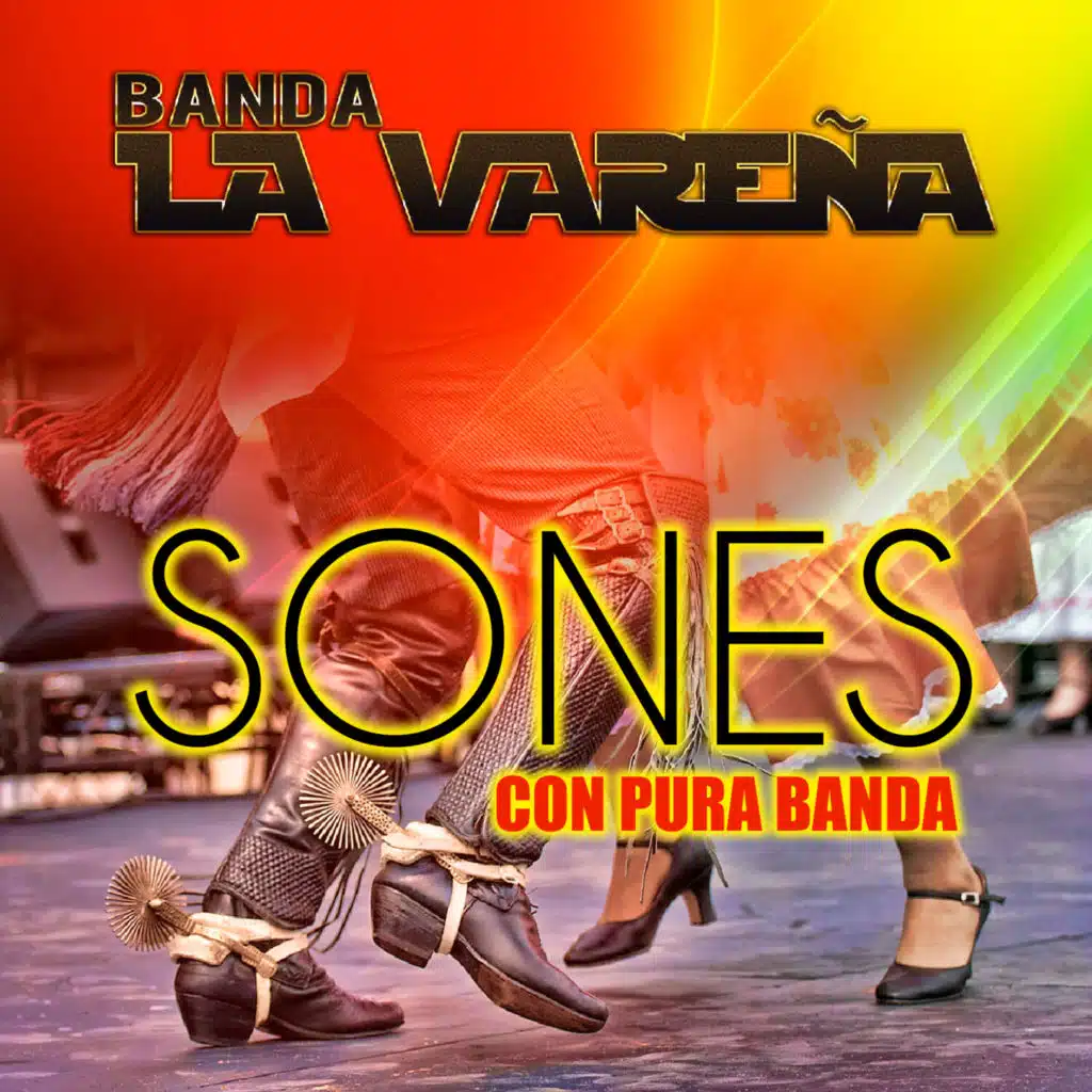 Se Juntaron Las Viejas (Banda)