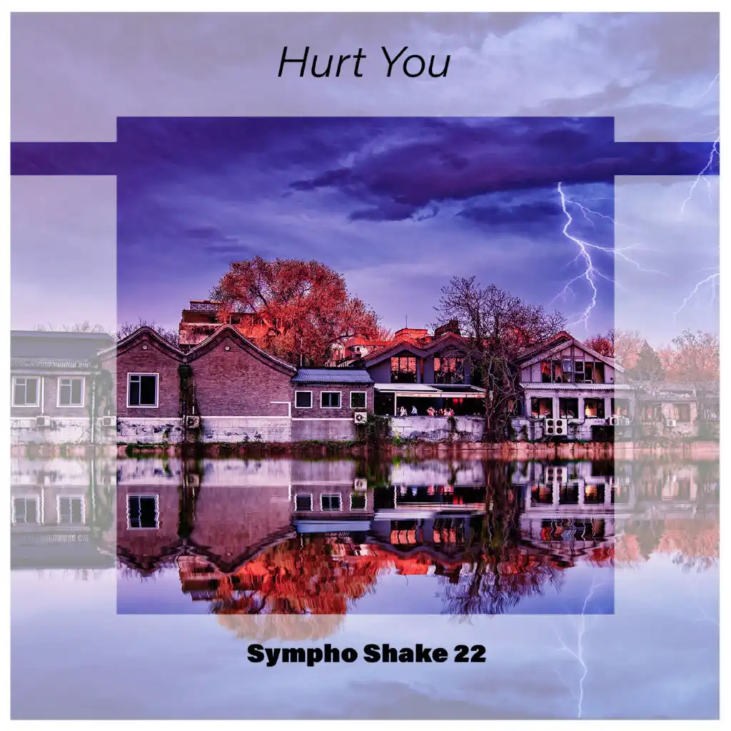 Hurt You Sympho Shake 22