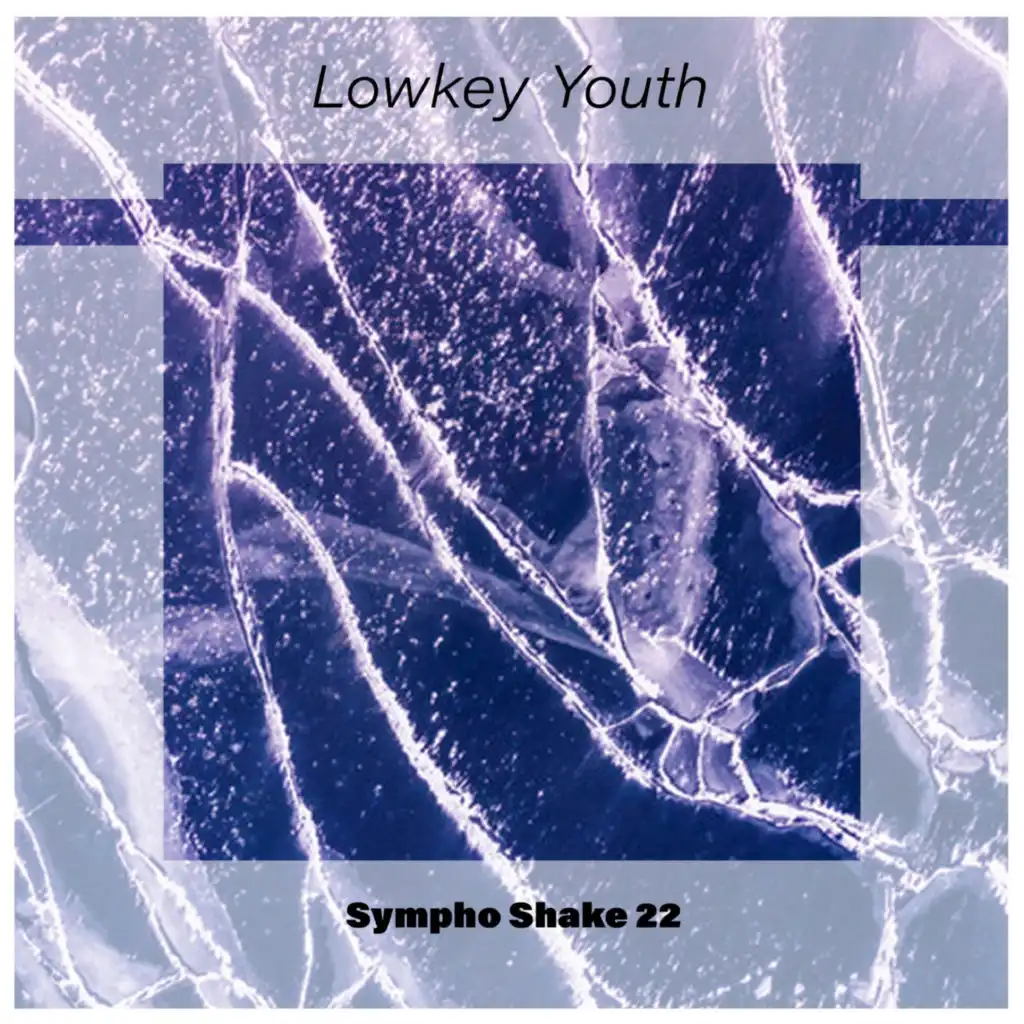 Lowkey Youth Sympho Shake 22