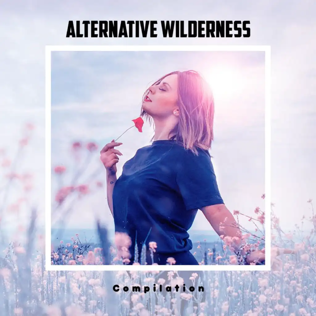 Alternative Wilderness Compilation