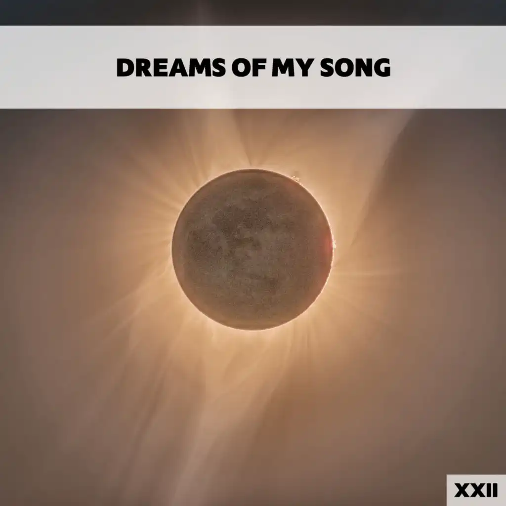 Dreams Of My Song XXII