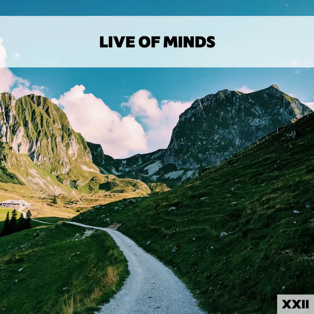 Live Of Minds XXII