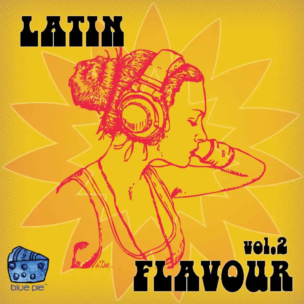 Latin Flavour Volume 2