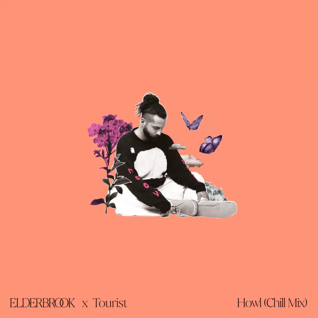 Elderbrook & Tourist