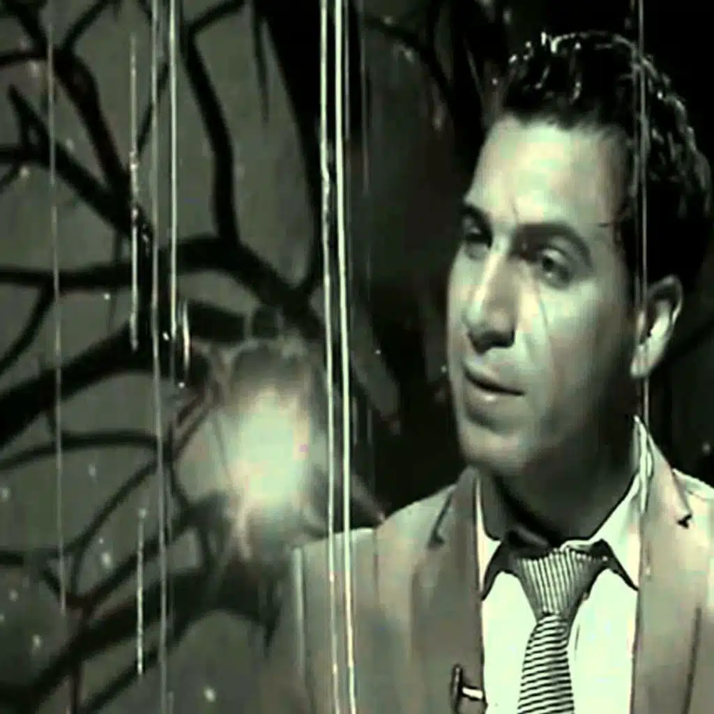 الشاعر حسين العميدي قصيدة المصور