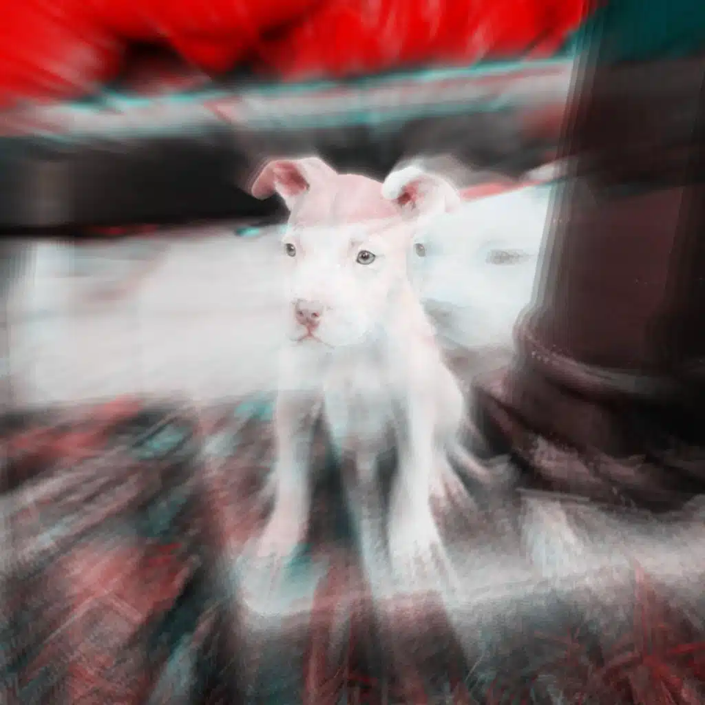 Baby (Sped Up Version)