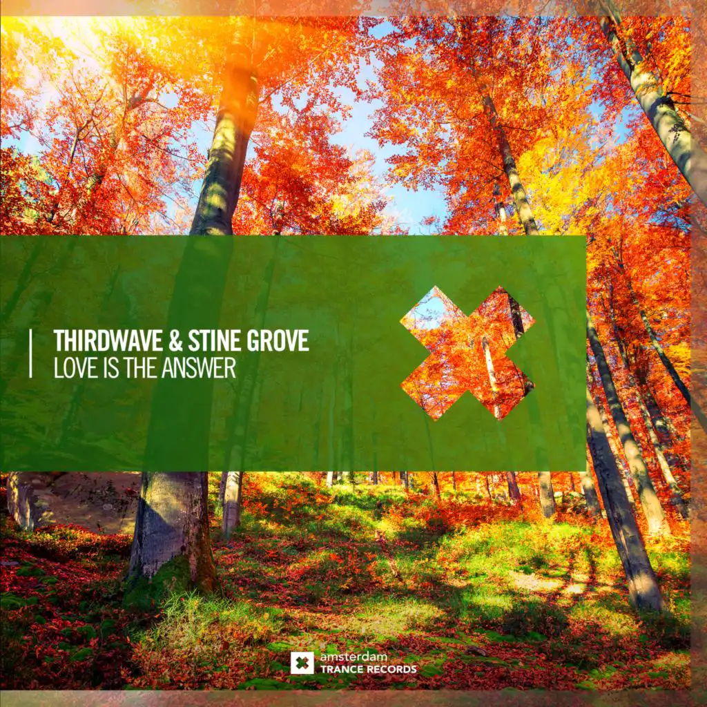 THIRDWAVE & Stine Grove