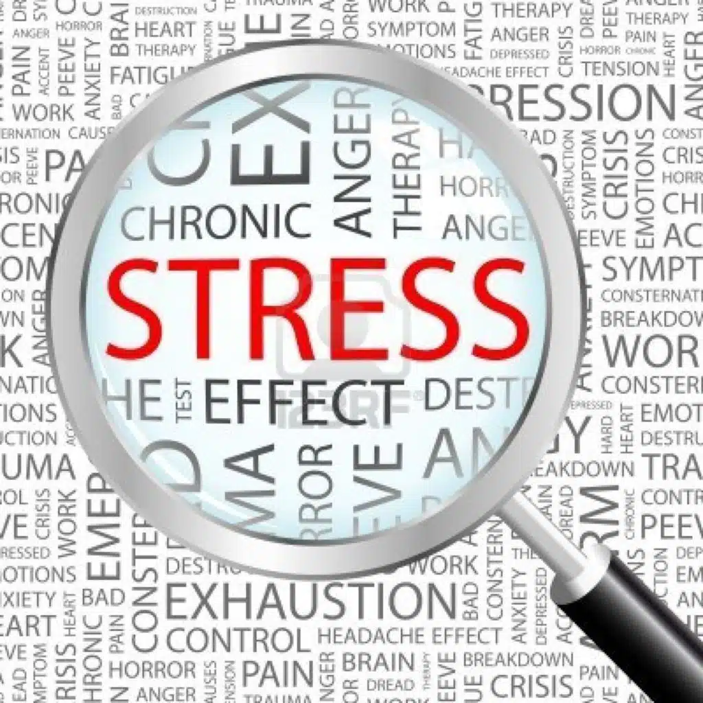 The Effects of Stress