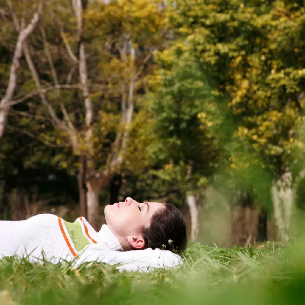 Soothing Delta Waves Haven: Tranquil Bird Song Relaxation Symphony