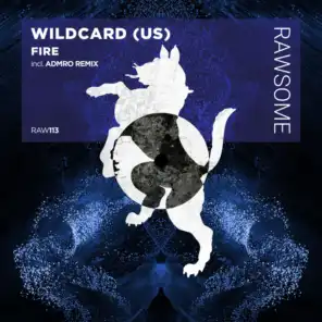 Wildcard (US)