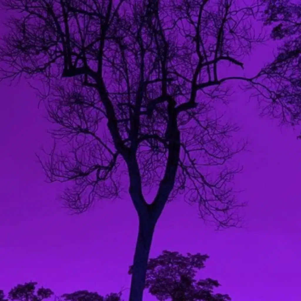 24 Songs (I Fell On My Face - Slowed)