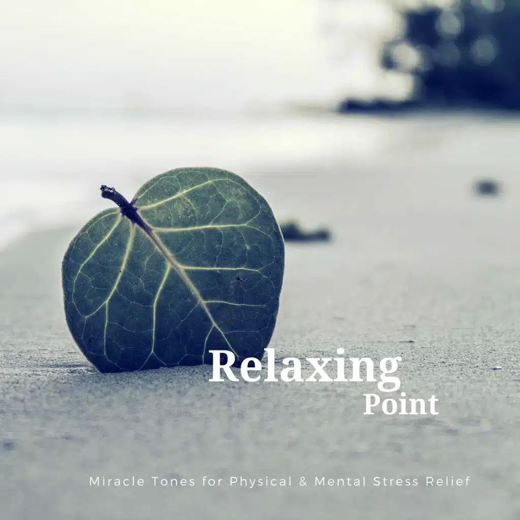 Relaxing Point (Miracle Tones For Physical  and amp; Mental Stress Relief)