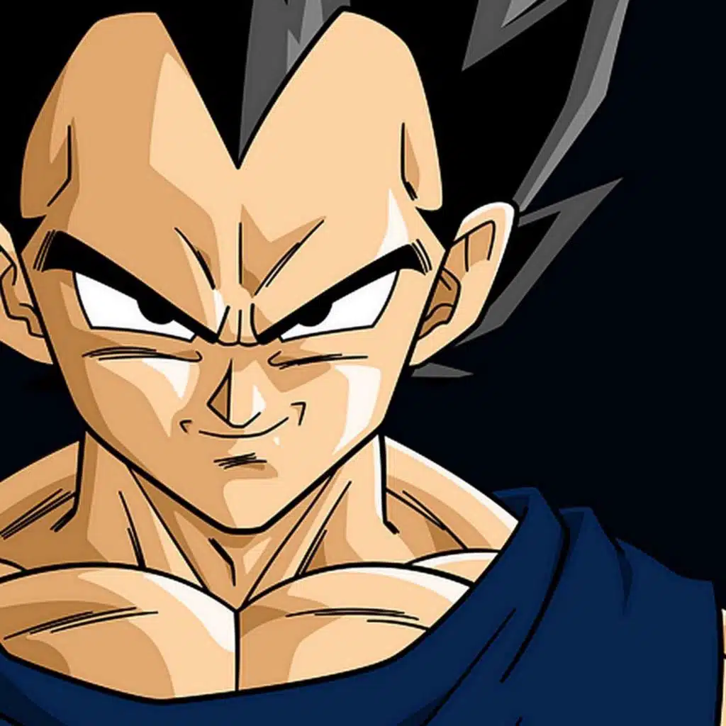 LA PHILOSOPHIE DE VEGETA