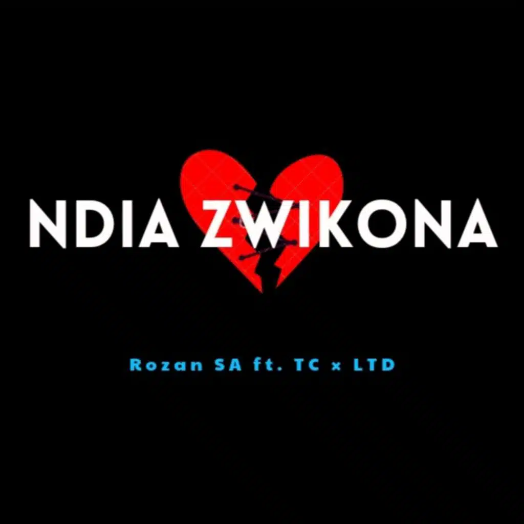 Ndia Zwikona (feat. TC & LTD)