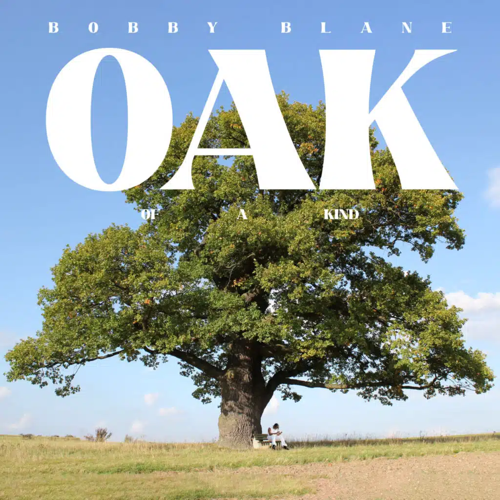 Oak (Of a Kind)