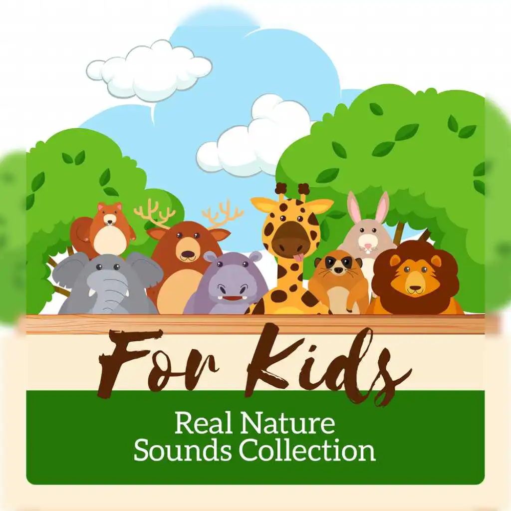 For Kids (Real Nature)