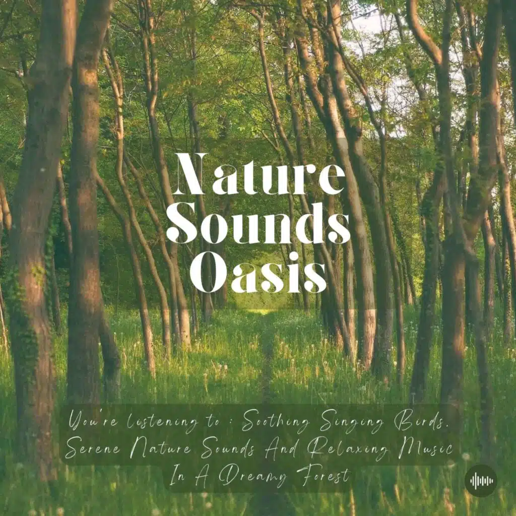 Soothing Singing Birds, Nature Sounds & Relaxing Music In A Dreamy Forest | Deep Sleep, Meditation, Relaxation Or Focus | Sleep Sounds, Sleep Music, Zen, Study Music, White Noise, Musique Pour Dormir