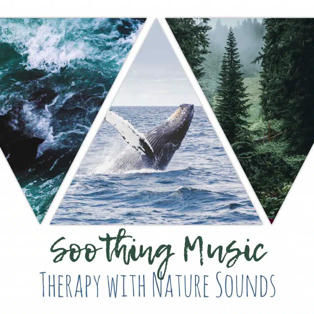 Relaxing Whales Sound