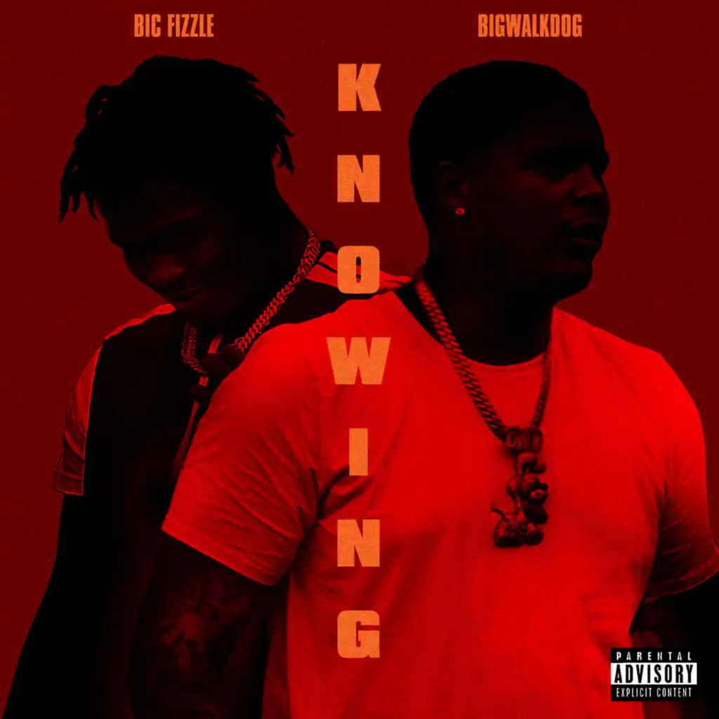 Knowing (feat. BigWalkDog)