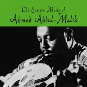 Ahmed Abdel-Malik