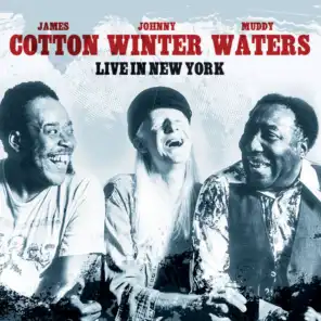Johnny Winter with Muddy Waters & James Cotton